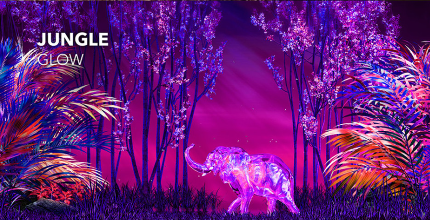 제주 아르떼뮤지엄 입장권 완벽 가이드