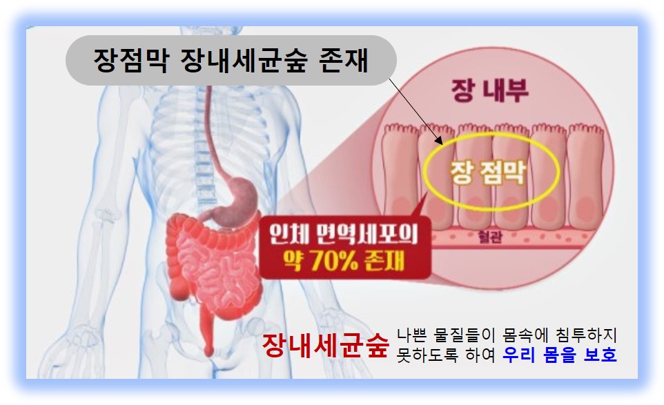 마이크로바이옴