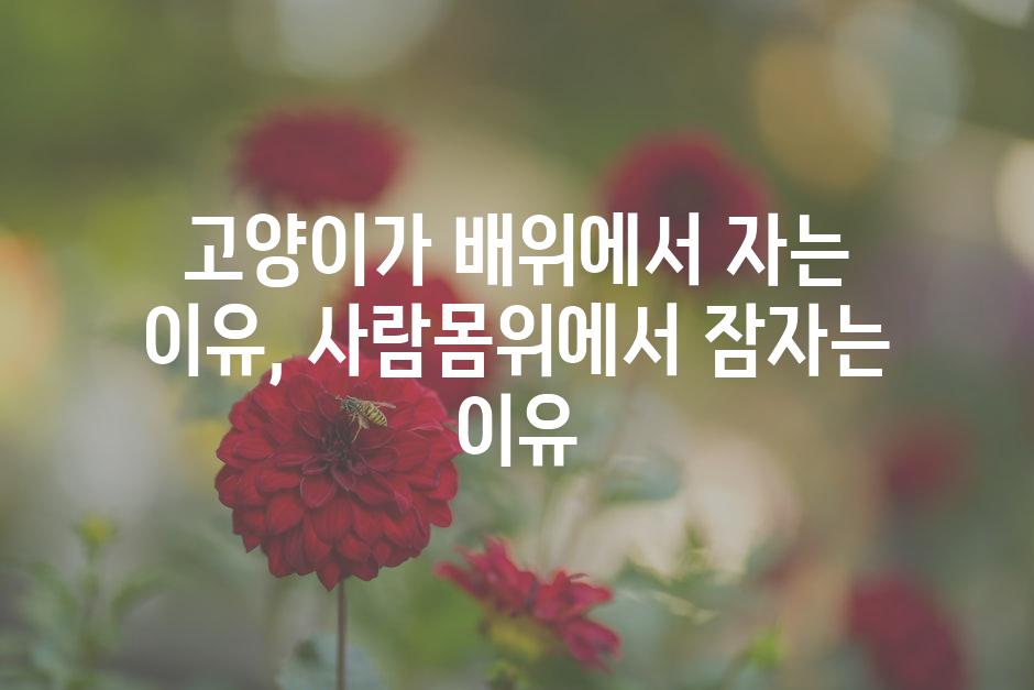 API 할당량 초과 오류 2