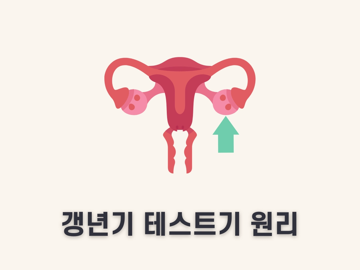 갱년기 테스트기 원리