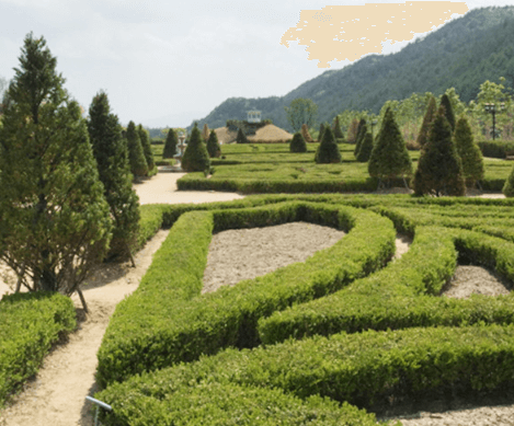 단풍여행 당일 단풍버스여행