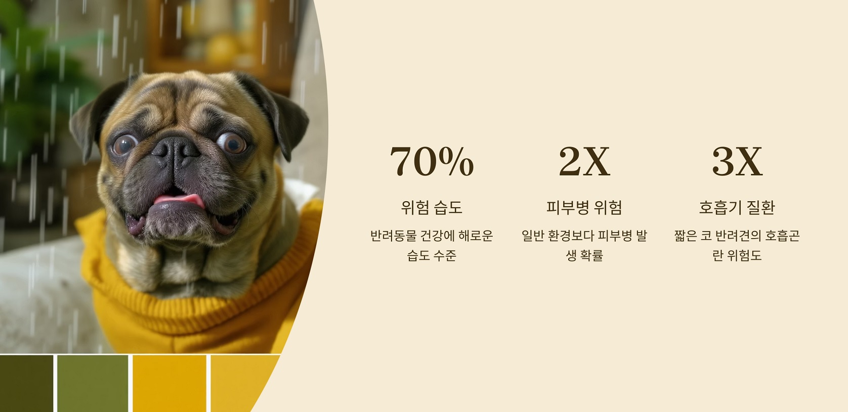 높은 습도, 반려동물에게 더 위험한 이유