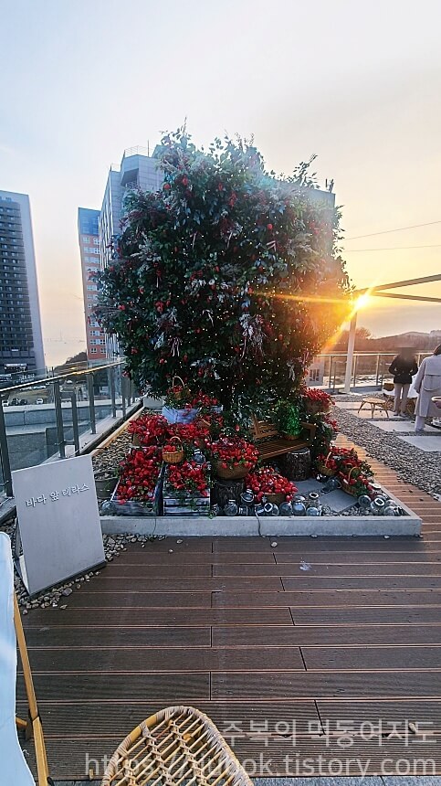 구읍뱃터-바다앞테라스-루프탑-포토존-3