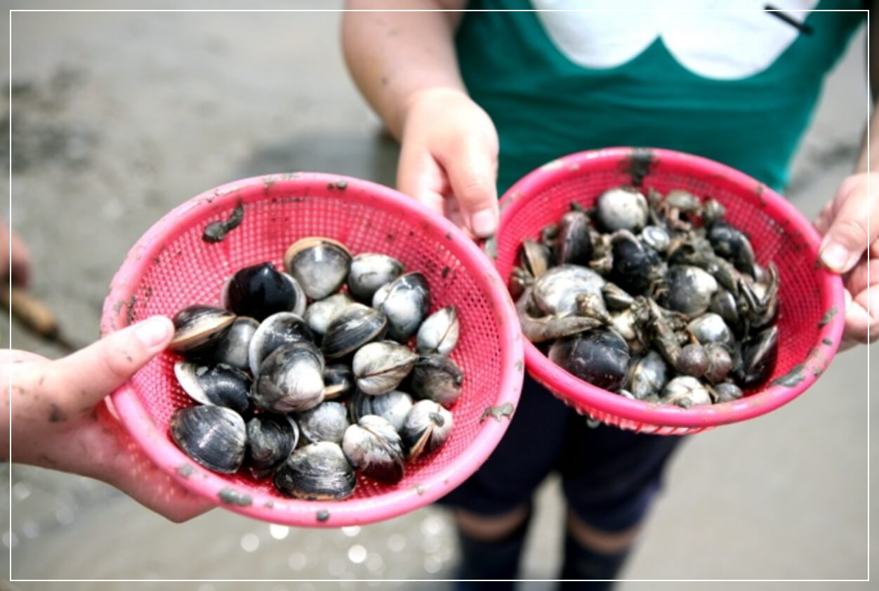 고창 가볼만한곳 베스트10 고창갯벌 세계자연유산센터 (하전&middot;만돌 체험 포함)