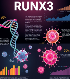RUNX3 유전자와 암 재발 억제