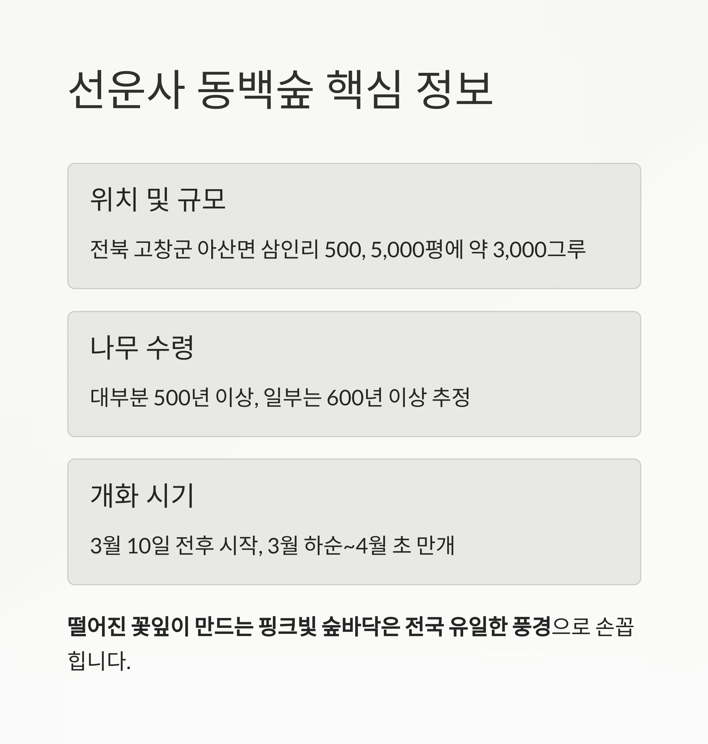 고창 선운사 동백꽃 명소