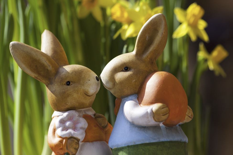 2026년 51년생 토끼띠 운세 총정리