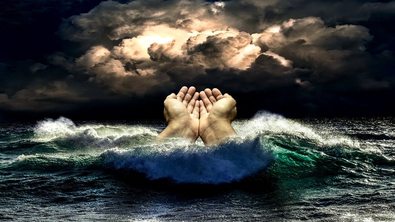 재난지원금 신청