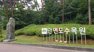 안면도 가볼 만한 곳 BEST 10