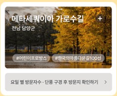 단풍여행지 추천