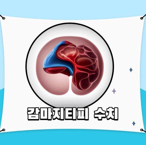 감마지티피 수치 높음 정상 수치 원인 증상 낮추는 방법