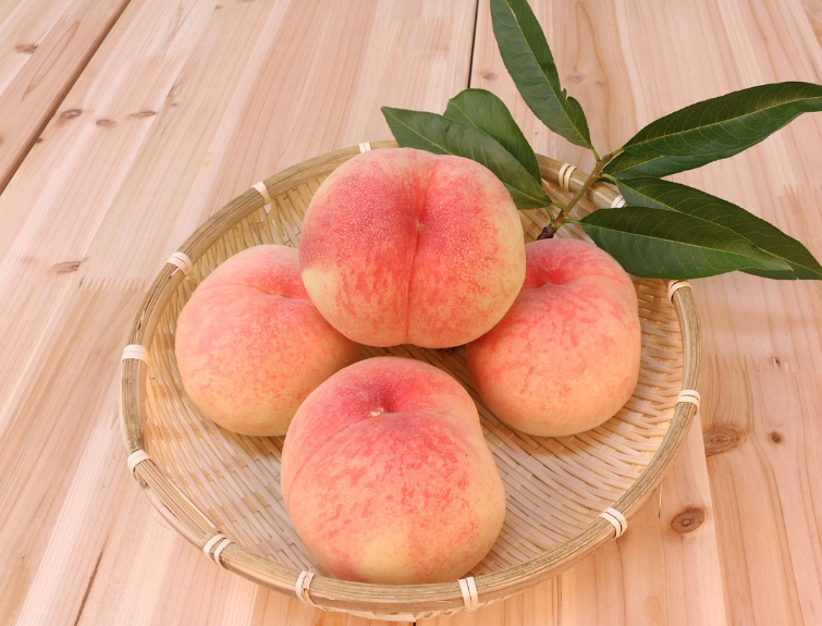 복숭아-알레르기-당도-보관법
