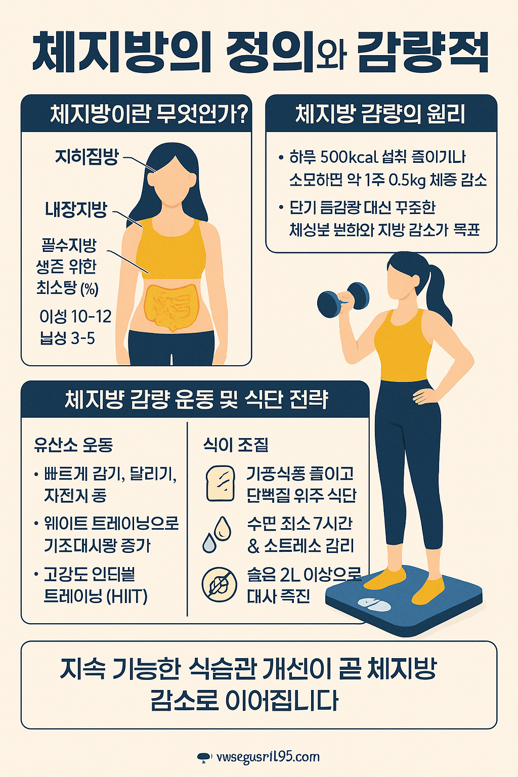 체지방 감량의 관한 이미지