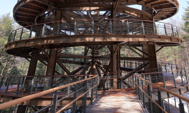 태백산 하늘전망대