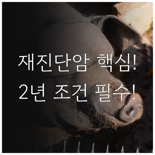 재진단암 보장 기준 최초 진단 후 2..