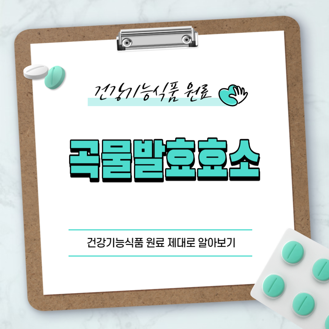 곡물발효효소