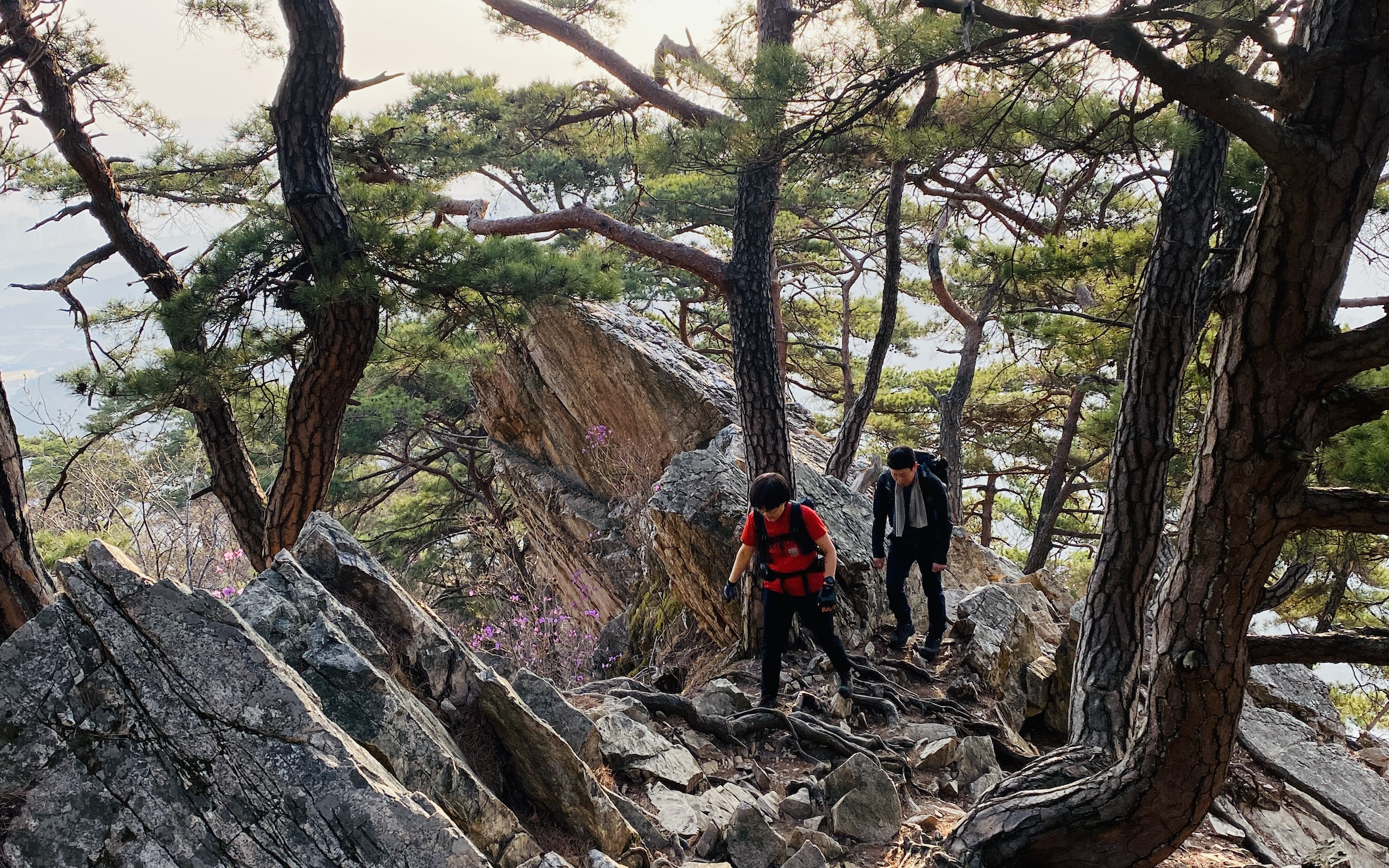 바위가 많은 등산로