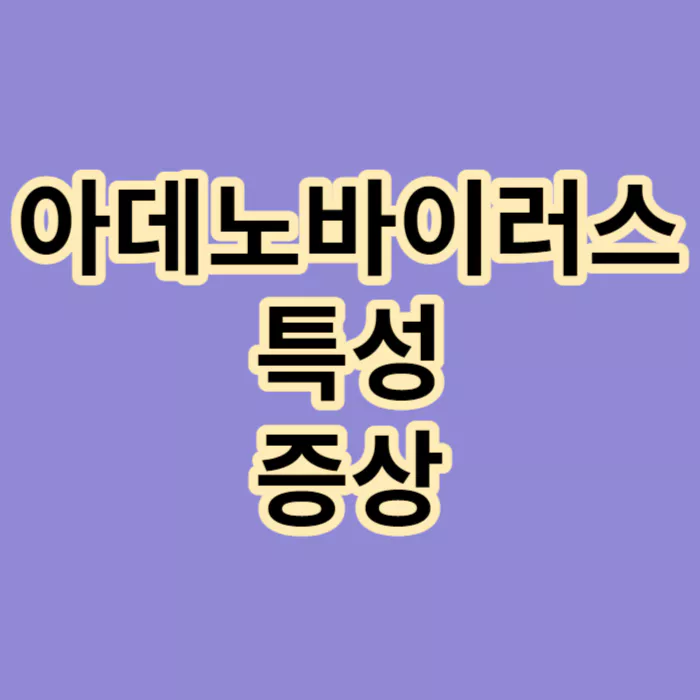 아데노바이러스-특성-및-증상