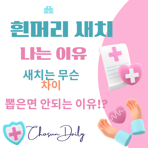 흰머리 뽑으면 안되는 이유 흰머리와 새치 차이 생기는 이유 영양제