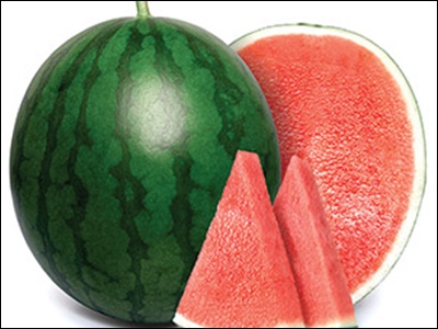 수박의 효능