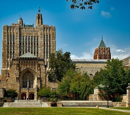 해외 의대 관련 이미지