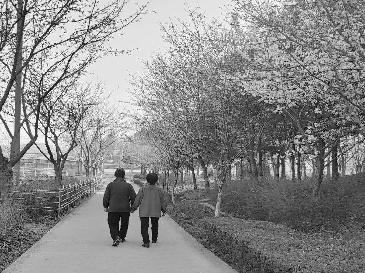 시니어 코하우징을 고민하다 결국 선택하지 않는 사람들의 공통점