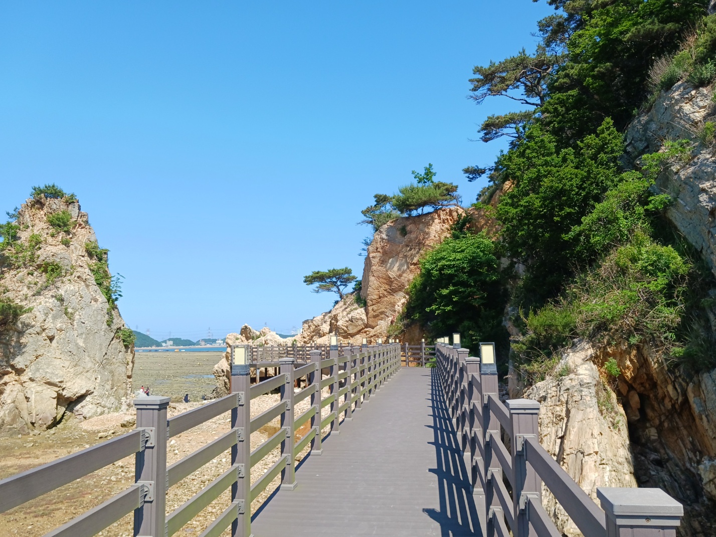 장고항