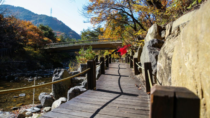 강릉솔향수목원