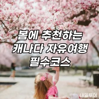 봄 국내 여행지 베스트 10 추천 맛집_14