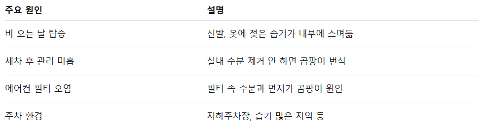 차량 내부 곰팡이 제거 꿀팁