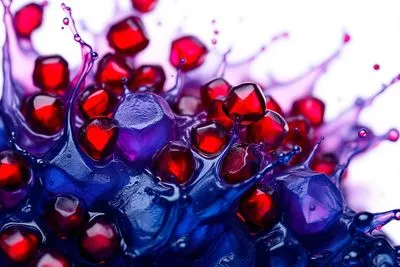 석류와 강아지: 석류의 성분