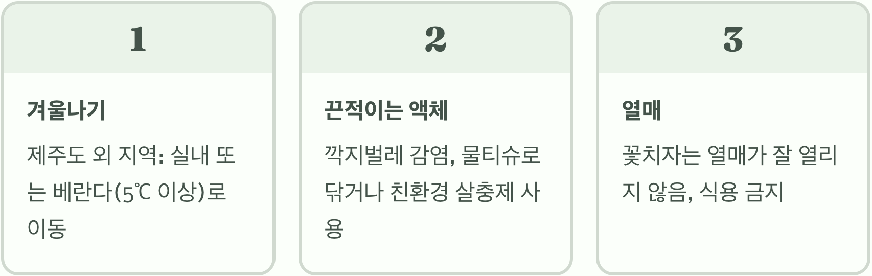 우리 집 꽃치자나무, 왜 잎만 무성하고 꽃이 안 필까요?