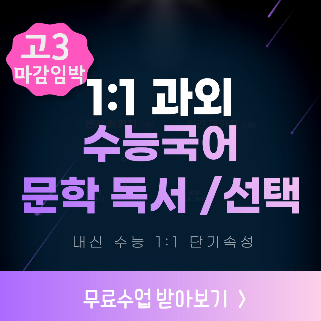 고3국어과외