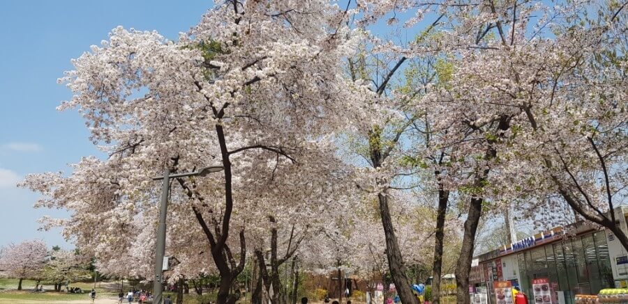 서울어린이대공원