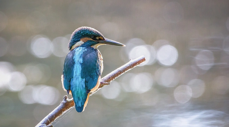 건설업계 청년창업의 중요성