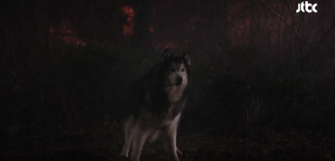 이연애는불가항력 6회