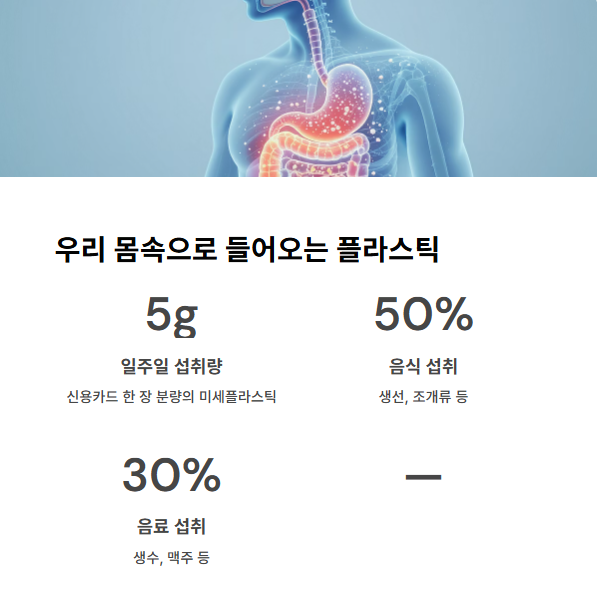 우리-몸속으로-들어오는-플라스틱