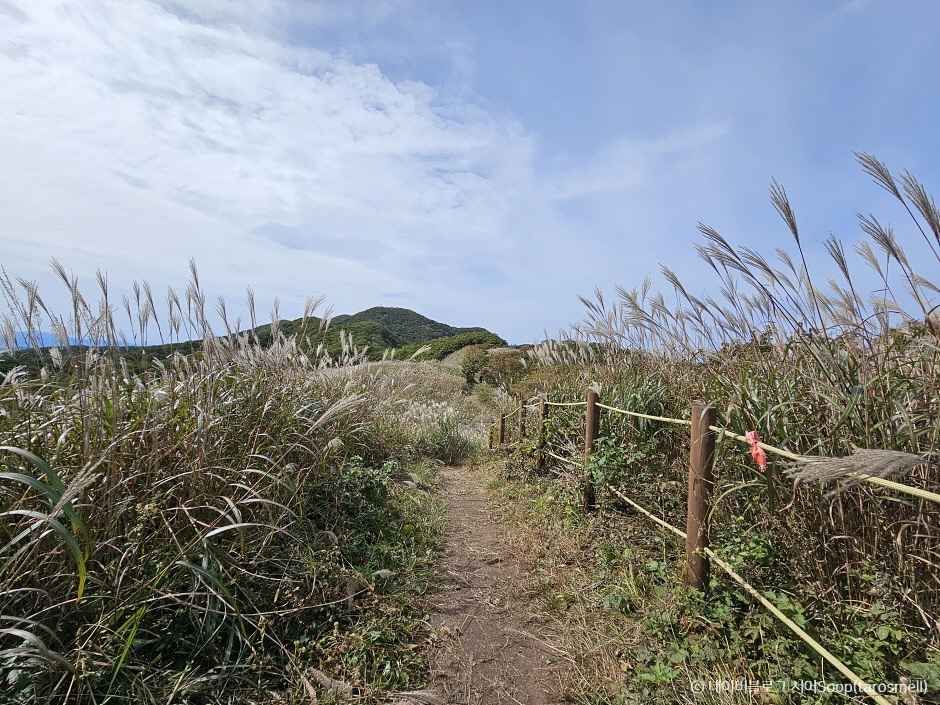 장수 가볼만한곳 베스트10