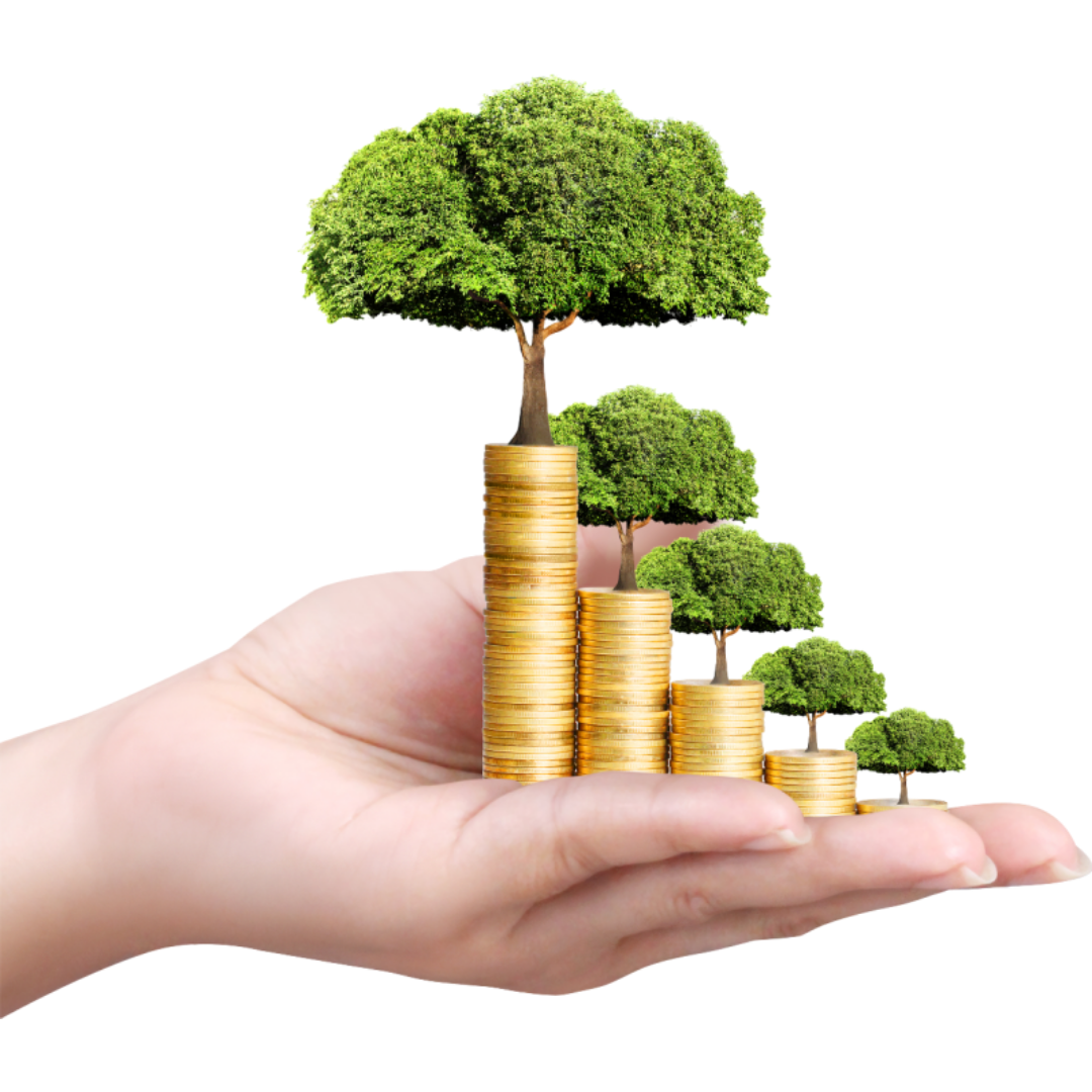 한 손에 동전탑이 쌓여 있고 그 위에 나무들이 놓여 있다.