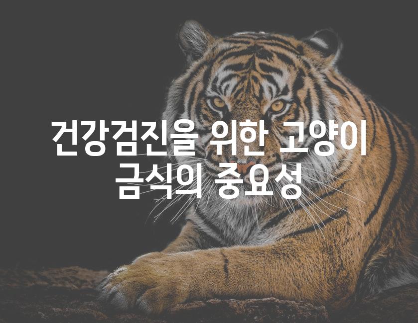 건강검진을 위한 고양이 금식의 중요성