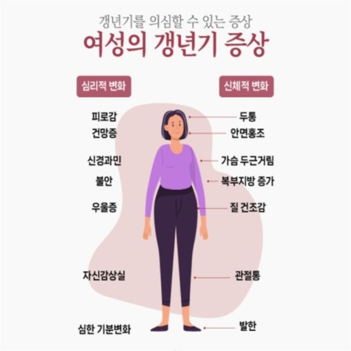 갱년기 증상