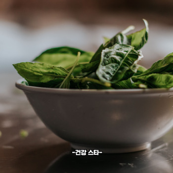 비타민b2 많은 음식