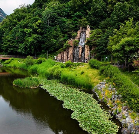 서울 도심 속 인공폭포 명소에서 여름 즐기기