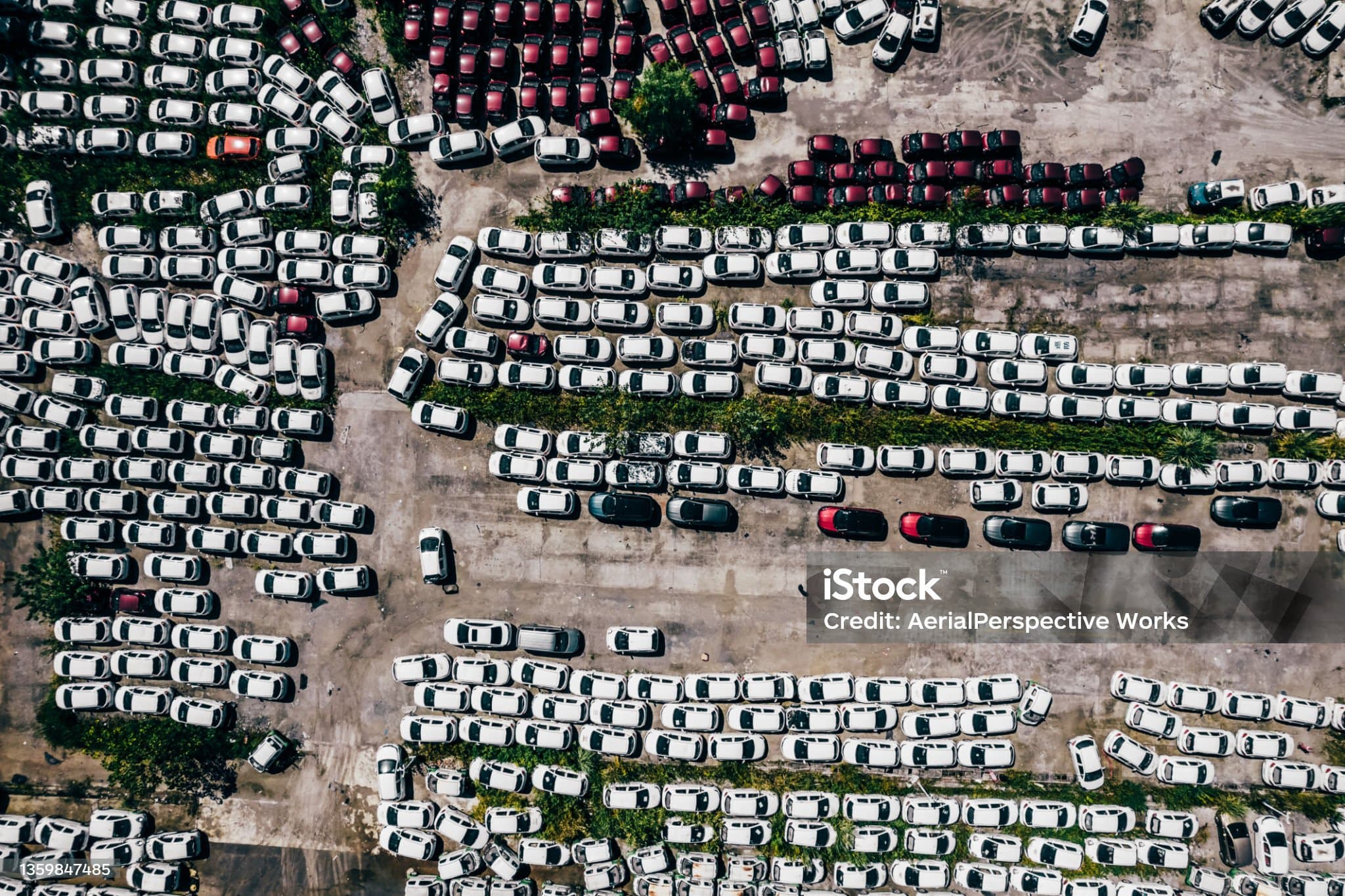 중고 전기차 시장의 성장과 가격 형성 요인