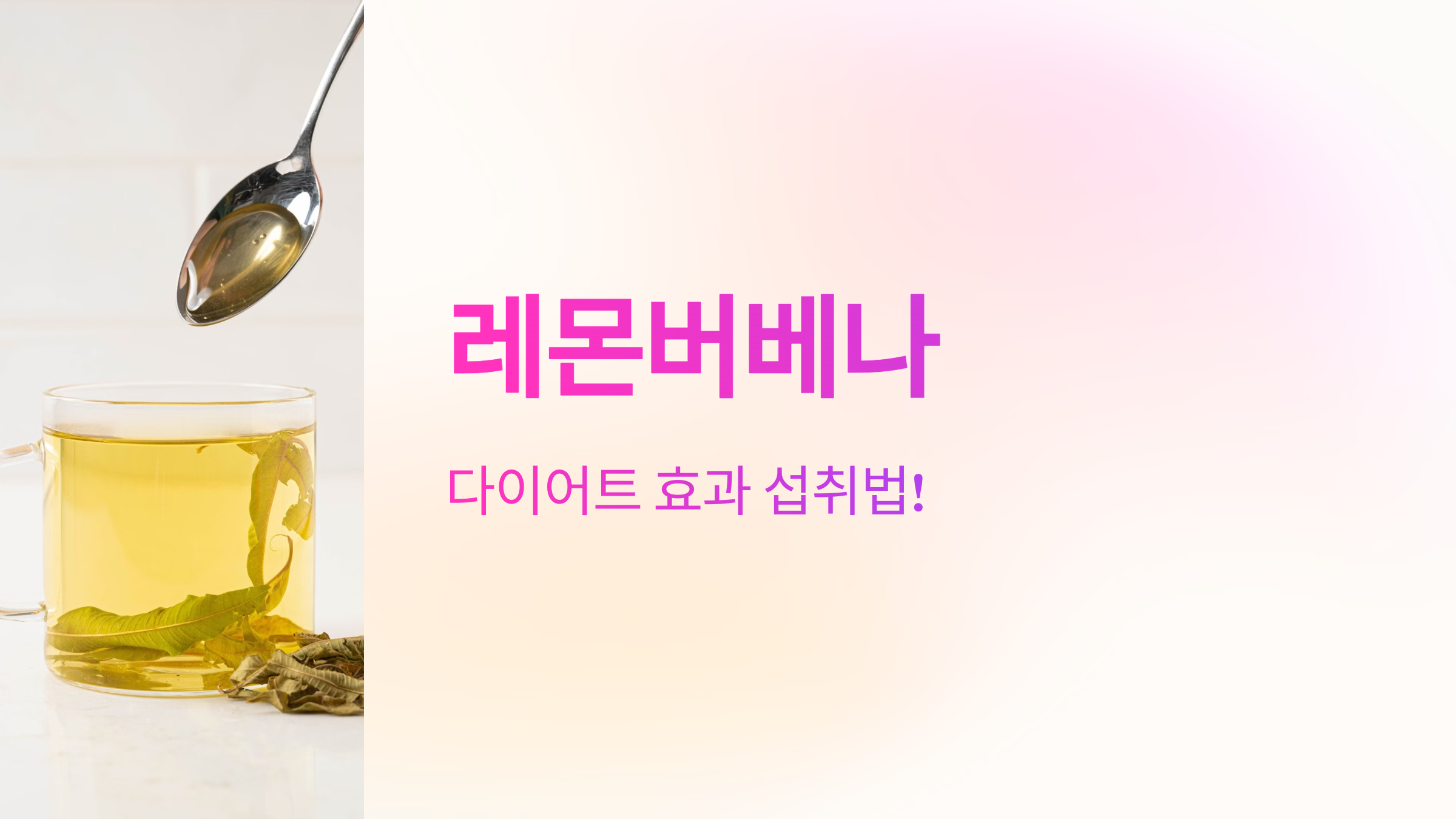 레몬버베나 다이어트 효과 보는 섭취 방법