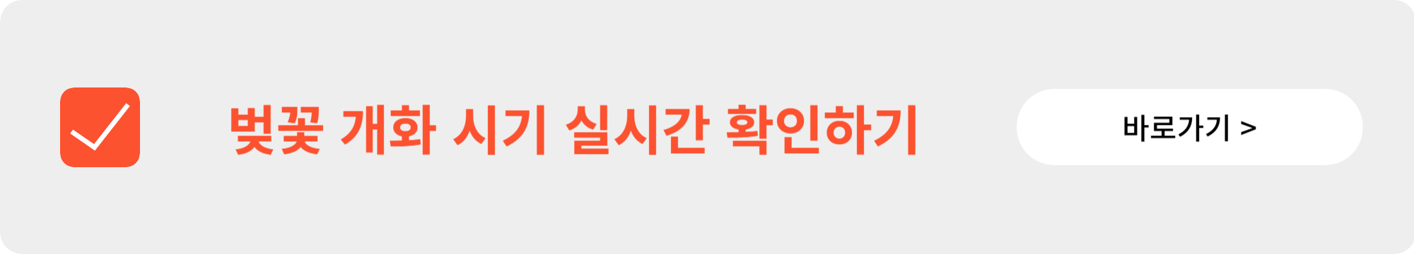 2025년 벚꽃 개화 시기 및 전국 벚꽃 명소 안내