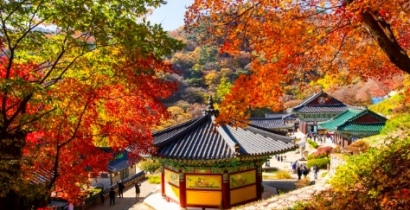 양평 용문산 산나물 축제