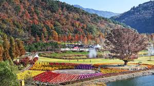 알록달록 가을낙엽과 파크골프장