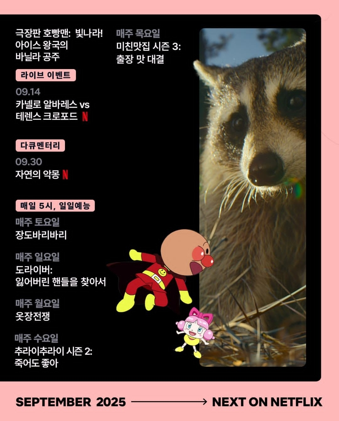 넷플릭스 9월 일일 예능 라인업 (사진 출처:넷플릭스)