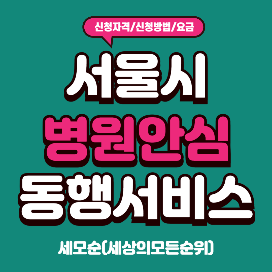 서울시 병원동행서비스 총정리